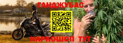 гашик Бийск