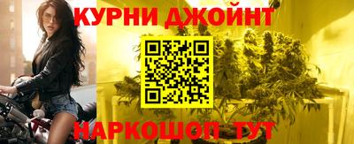 сатива Гай