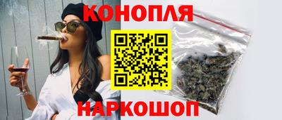 гашик Бийск