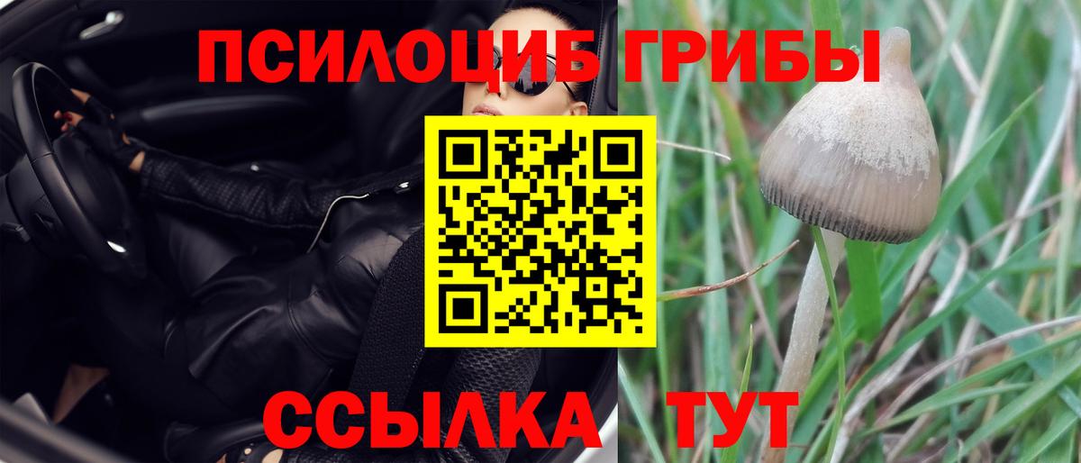 Владикавказ  Псилоцибиновые грибы Magic Shrooms  Вход с VPN 